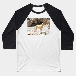 Labrador Retriever Yellow Full Second Baseball T-Shirt